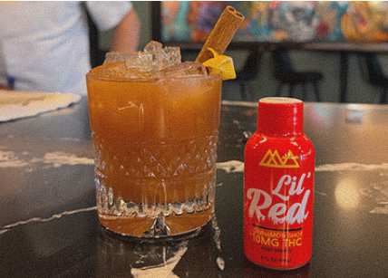 Discover Our Products