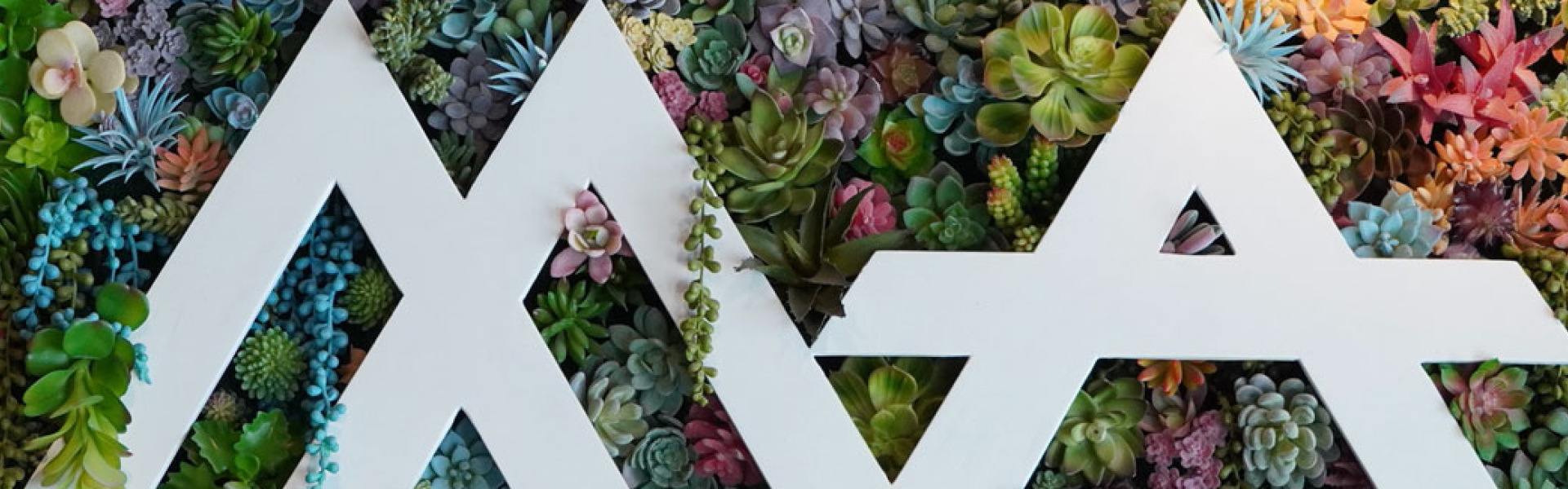 Alchemy in Every Pour